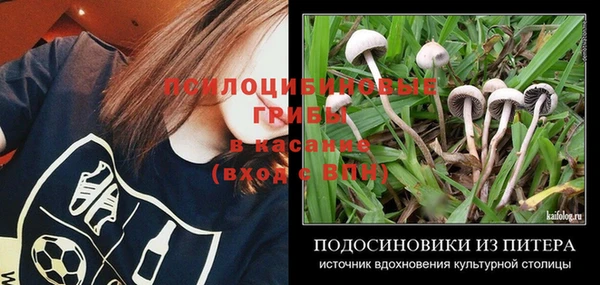 шишки Нефтегорск